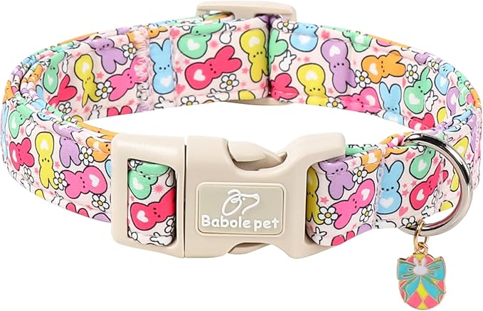 Babole Pet Easter Dog Collar for Puppy Small Dogs - Colorful Bunny Print Easter Collar for Male Female Dogs, Lightweight Adjustable Spring Holiaday Dog Collars with Quick Release Buckle XS