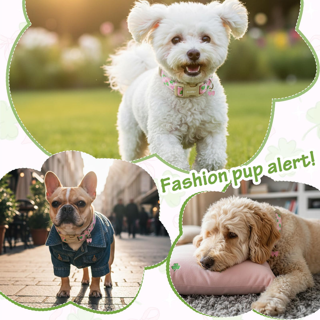 Astdogio St. Patrick's Day Dog Collar,Pink Bow with Green Clover Puppy Collar,Adjustable Spring Cotton Collars Gifts for Small Medium Large Dogs,Dog Accessories S