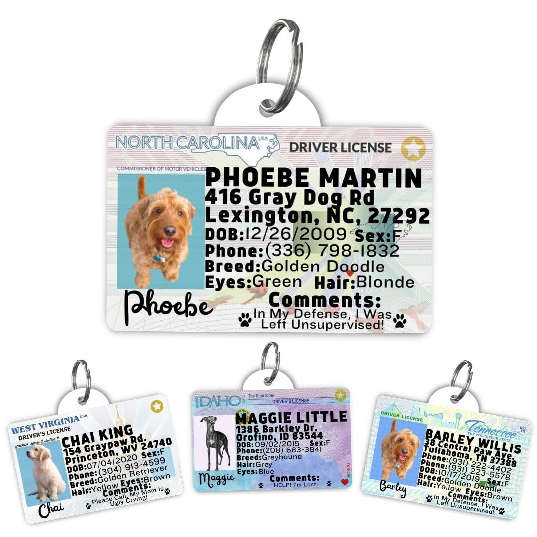 Dog Tags Personalized, Dog ID License Tag for Pets (Washington, Tag)