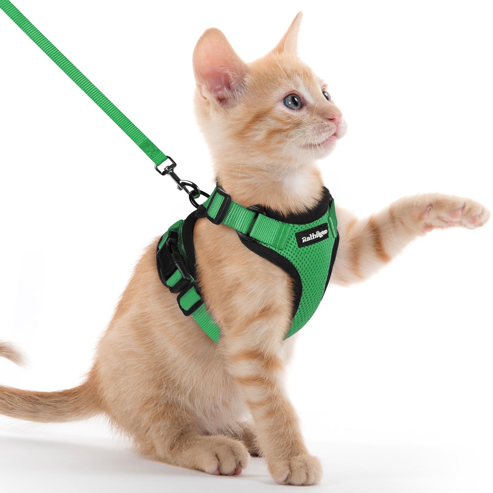 rabbitgoo Cat Harness and Leash Set, Escape Proof Vest, Emerald