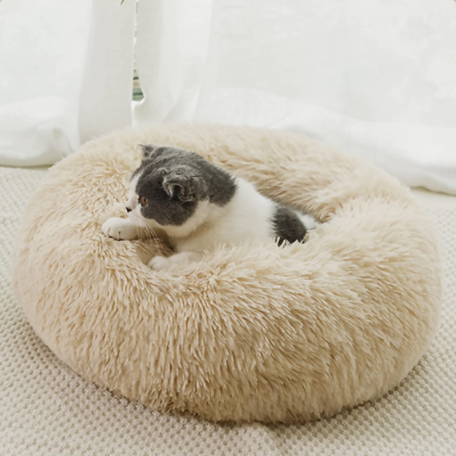 Cat Beds for Indoor Cats,20 Inch Dog Bed for Small Melium Large Dogs, Washable-Round Pet Bed for Puppy and Kitten with Slip-Resistant Bottom