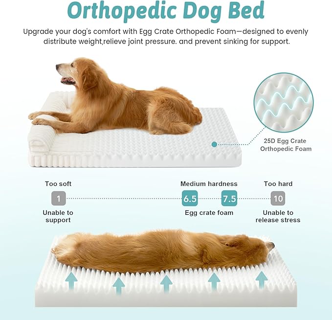 Cute Dog Bed, Faux Rabbit Fur Orthopedic Foam Dog Bed with Sides, Removable Washable Cover & Waterproof Lining, Comfortable Pet Couch for Large Dogs, Cream (44" L x 32" W x 7" Th)
