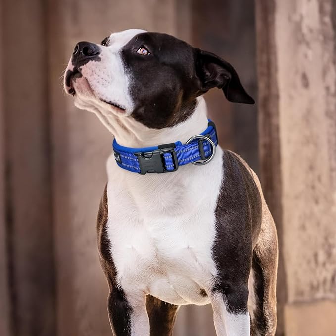 EXCELLENT ELITE SPANKER Reflective Dog Collar Classic Soft Padded Breathable Nylon Adjustable Pet Collar with Quick Release Buckle for Boy Girl Male Female Small Medium Large Dogs Training(Black-L)