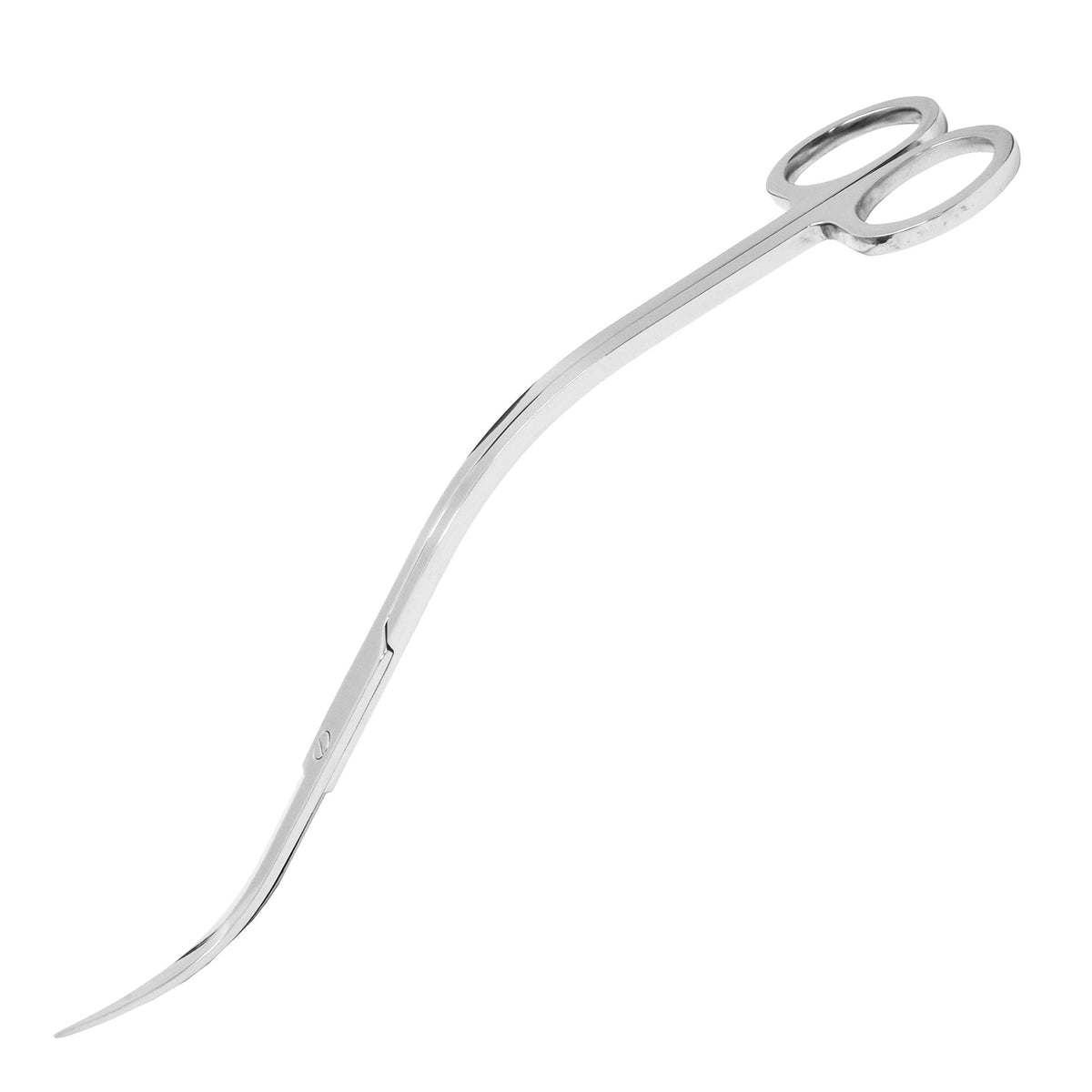 Mandala Crafts Stainless Steel 12" Curved Aquarium Scissors for Fish Tanks