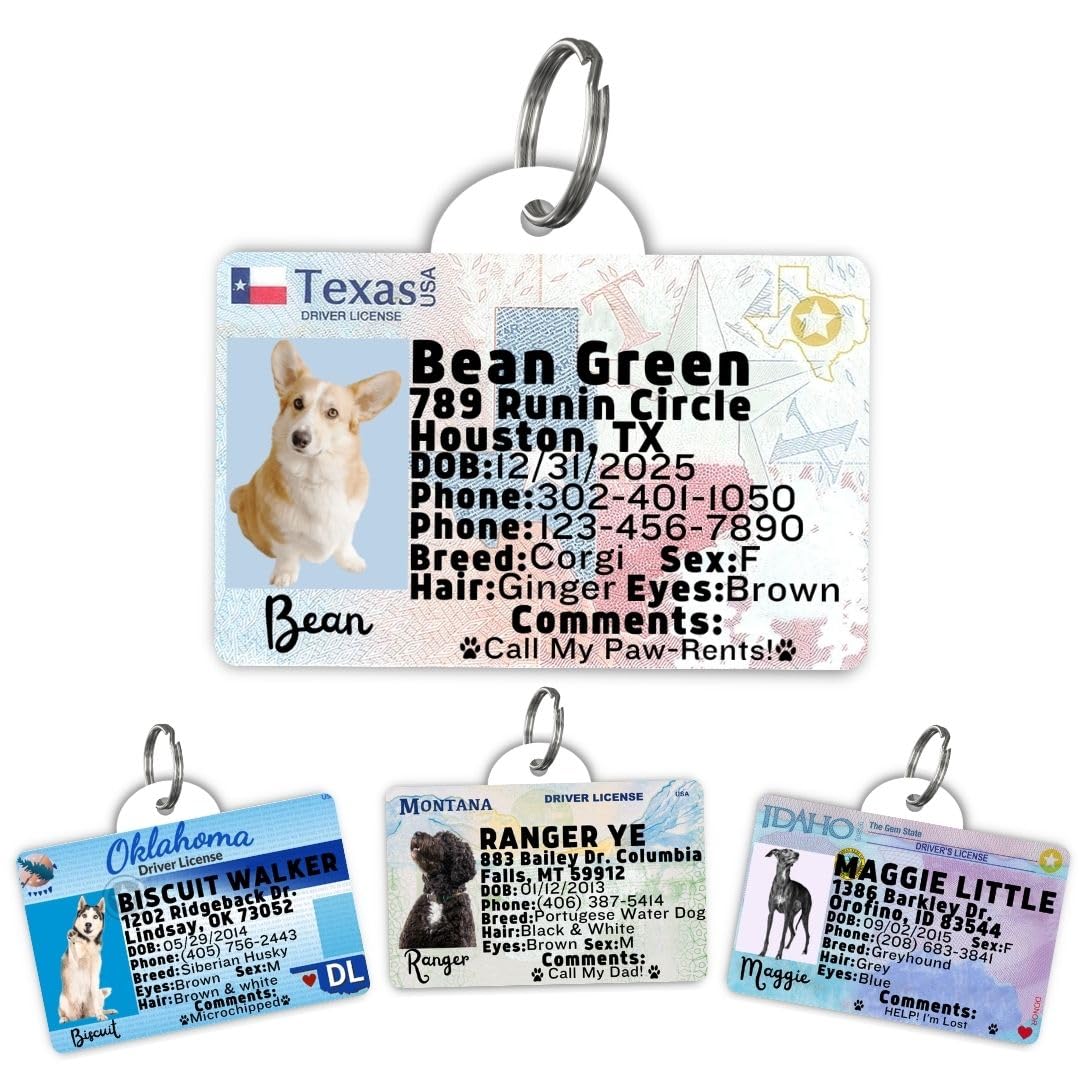 Dog Tags Personalized, Dog ID License Tag for Pets (Washington, Tag)