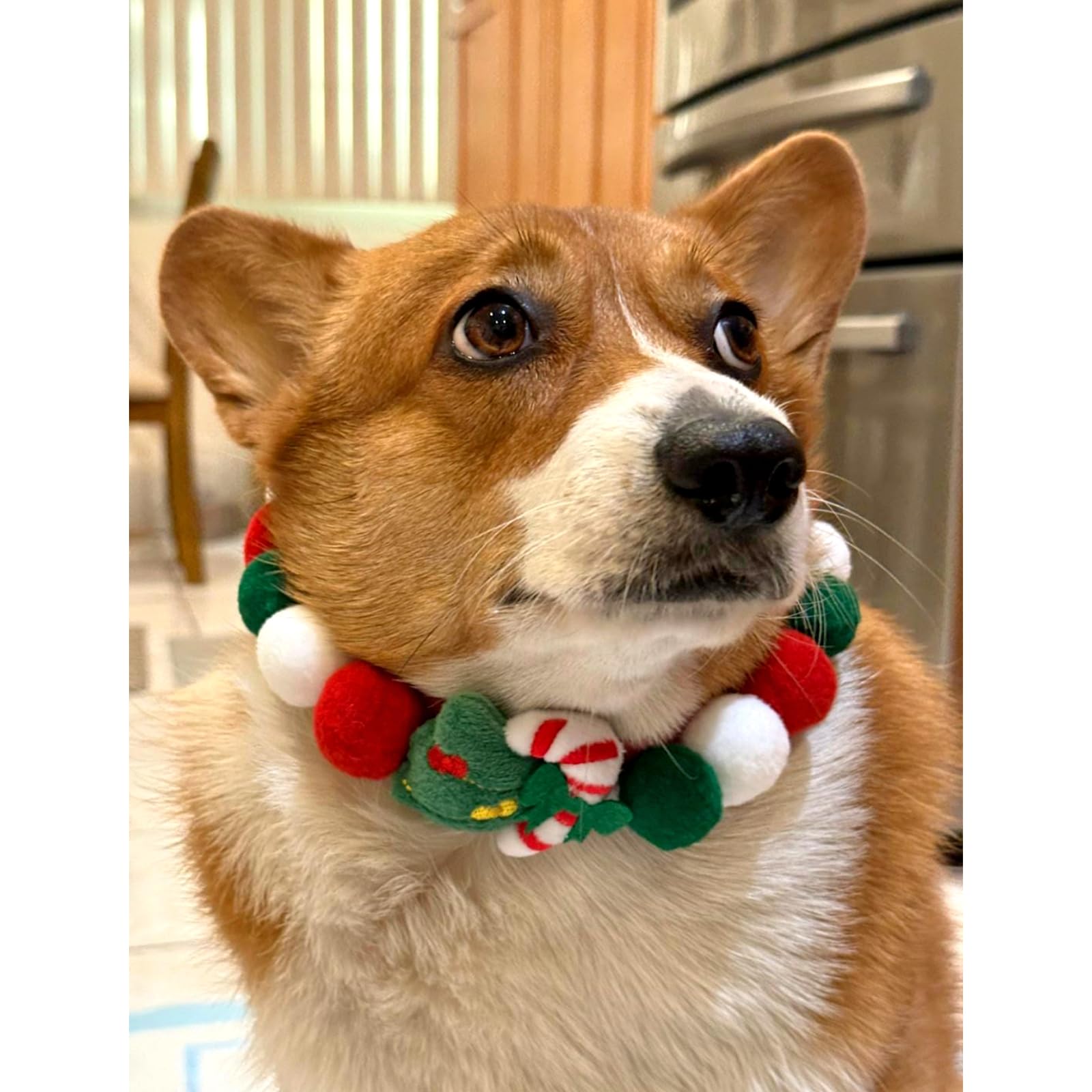 Lionheart glory Christmas Collar Pom-Pom Plush Ball Collar for Large Dogs Pet Christmas Costume Soft Funny Dog Collar Xmas Party Accessories Headgear
