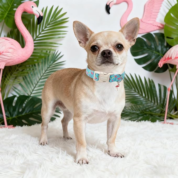 DOGWONG Spring Summer Dog Collar-Cute Flamingo Dog Collar, Adjustable Soft Beach Hawaiian Dogs Collars for Large Dogs, L
