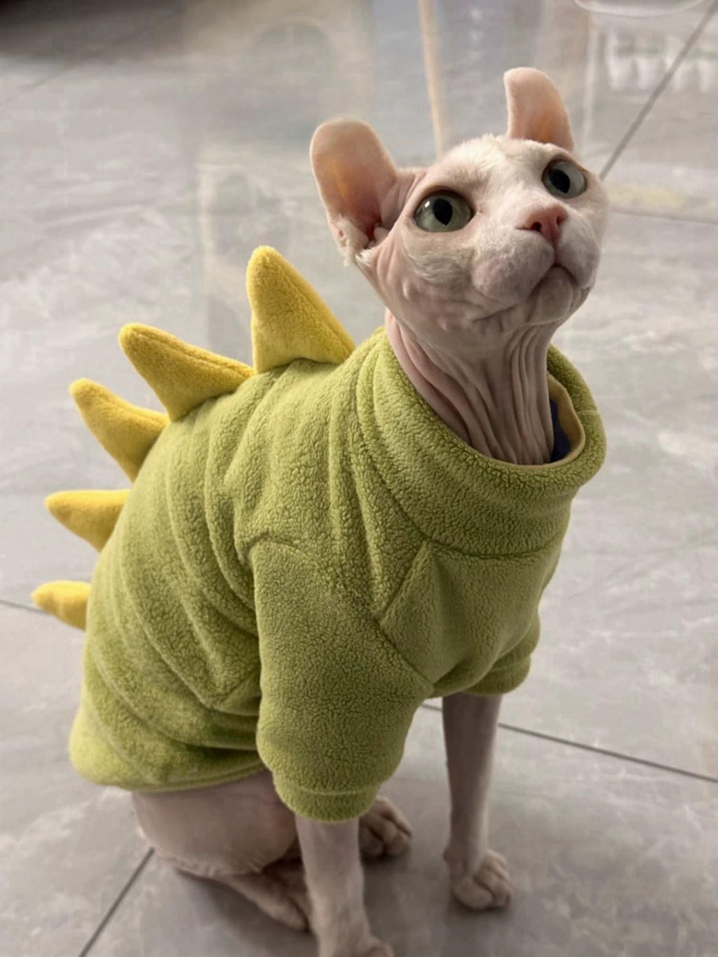 Green Dinosaur Sphynx Cat Clothes Sweater Hairless Cat Apparel