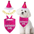Dog Birthday Bandana Set, Rose Pink Birthday Girl Decorations, HBD Party Supplies with Hat Bandana Numbers for Pets (Pink)