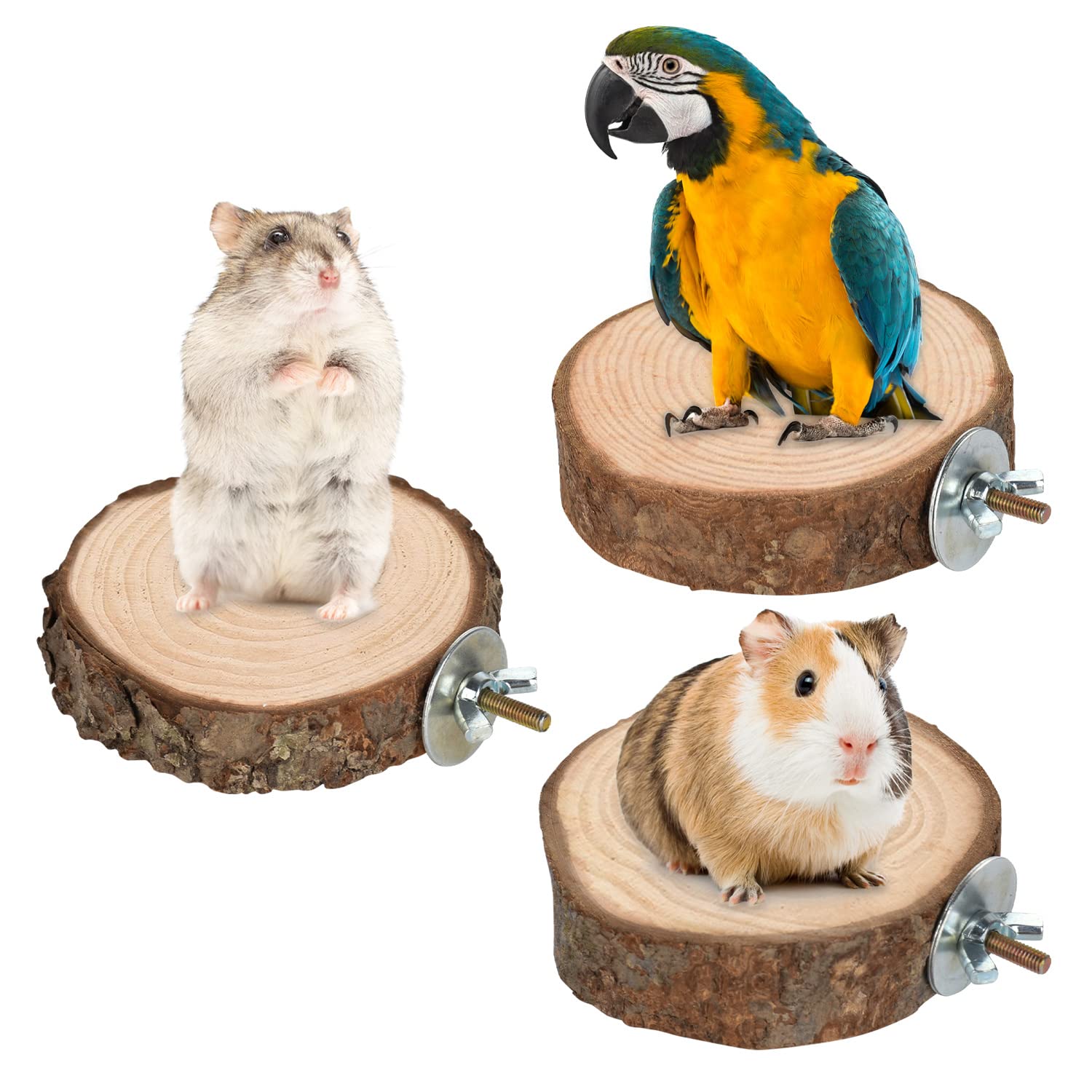 9 PCS Natural Wood Bird Perch, Wooden Parrot Perch Stand