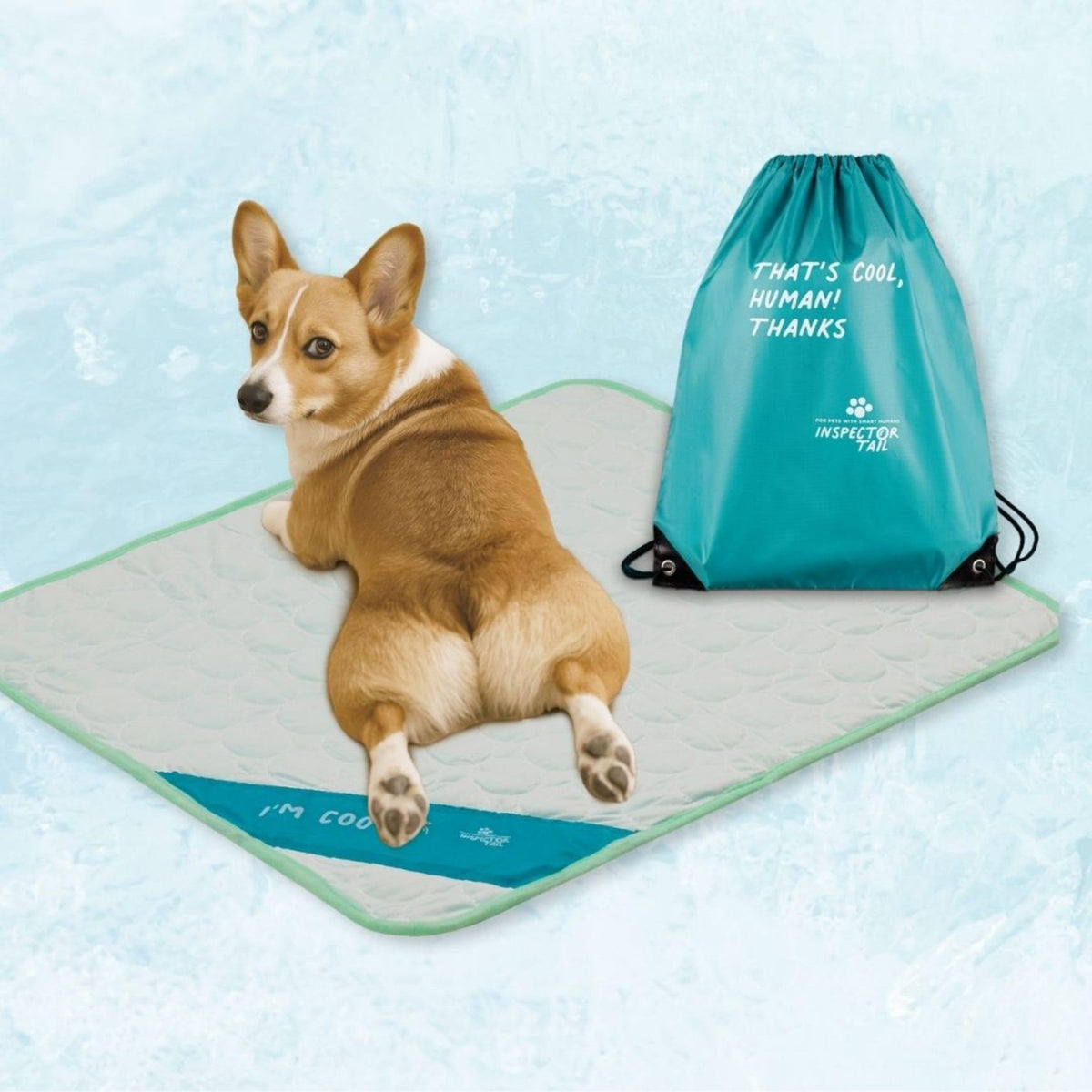 INSPECTOR TAIL Dog Cooling Mat, Indoor & Outdoor, Medium Self Cooling Pad