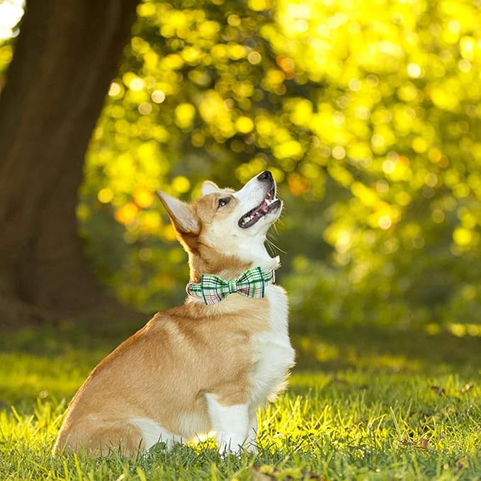 Elegant Little Tail Dog Collar with Bow - Pink with Green Plaid, Cute Bowtie, Adjustable for Medium Dogs