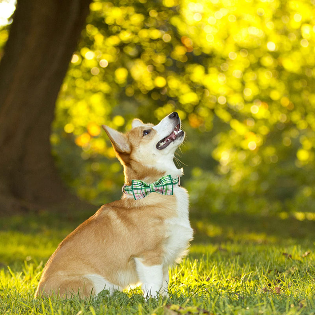 Elegant little tail Dog Collar with Bow - Pink with Green Plaid Boy or Girl Dog Collar Cute Bowtie Pet Collar Adjustable Dog Collar for Large Dogs
