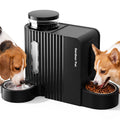 Gravity Automatic Cat Feeder, Water & Food Dispenser Set, Stainless Bowls