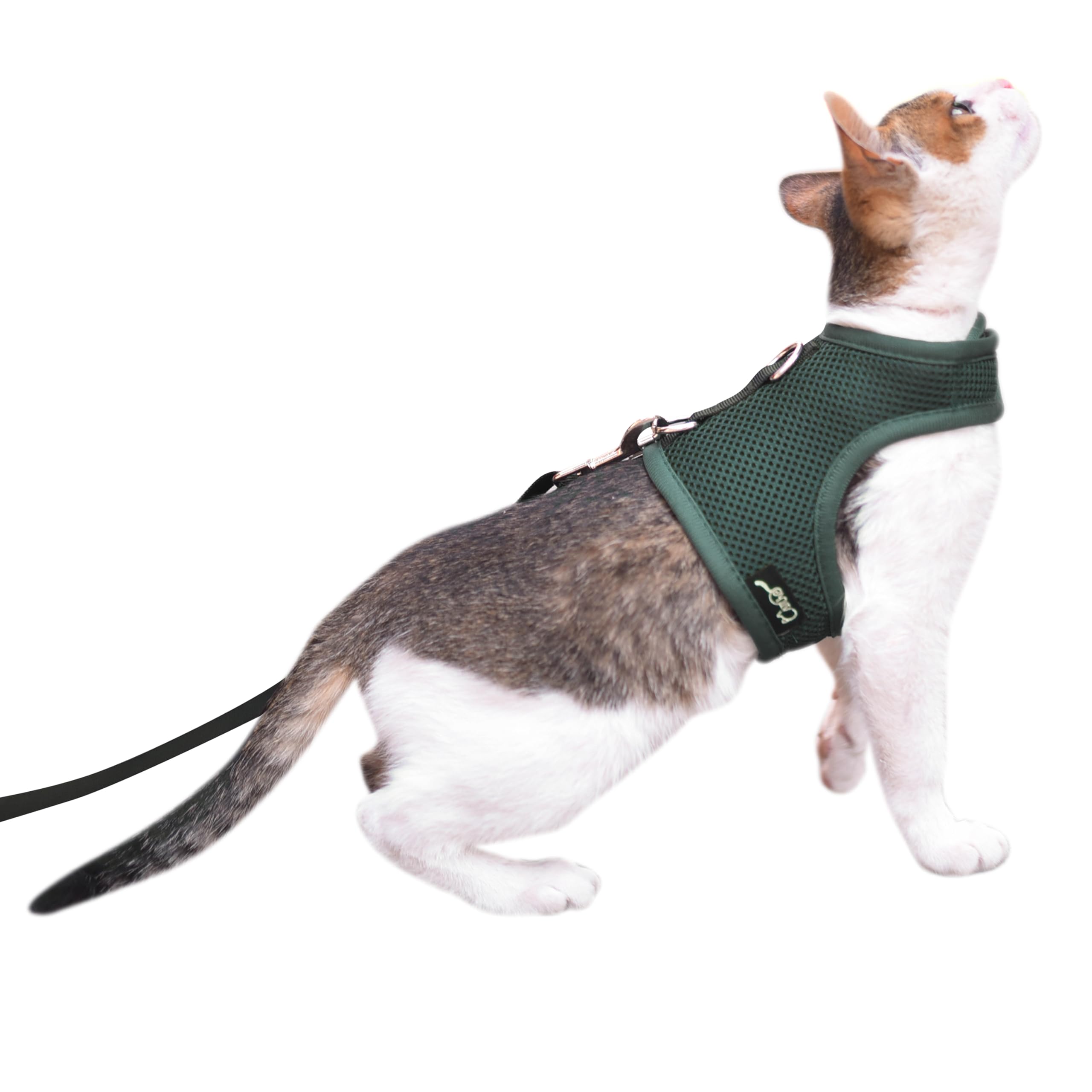 Cat Harness and Leash Set for Walking Escape Proof, Green, Large
