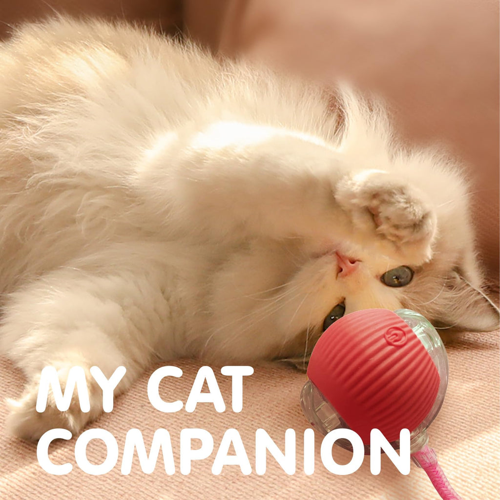 Rocfish Durable Interactive Cat Toys for Indoor Cats (red, 01)