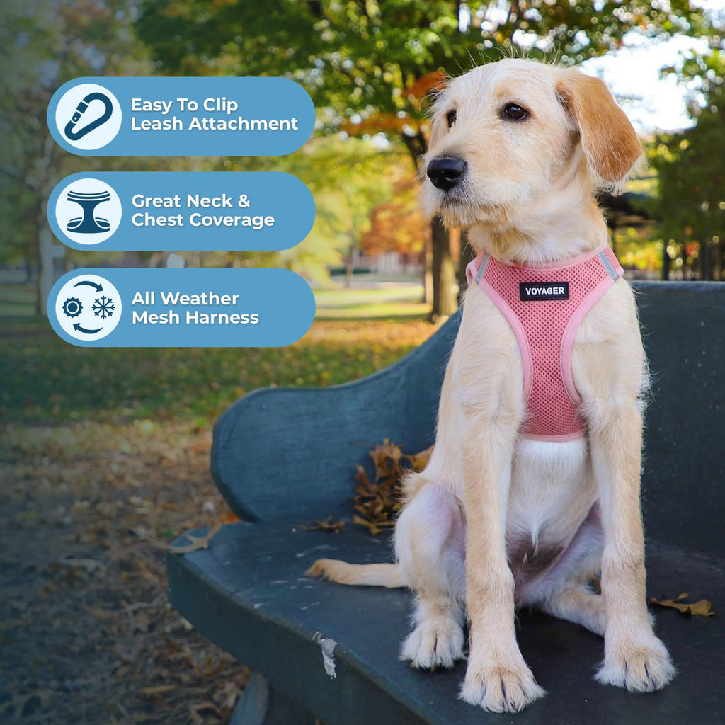 Best Pet Supplies Voyager Step-in Air All Weather Mesh Harness and Reflective Dog 5ft Leash Combo with Neoprene Handle, for Small, Medium and Large Breed Puppies - Pink, Medium