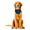 Littlearth NFL Seattle Seahawks Pet Bandana, Team Color, Medium