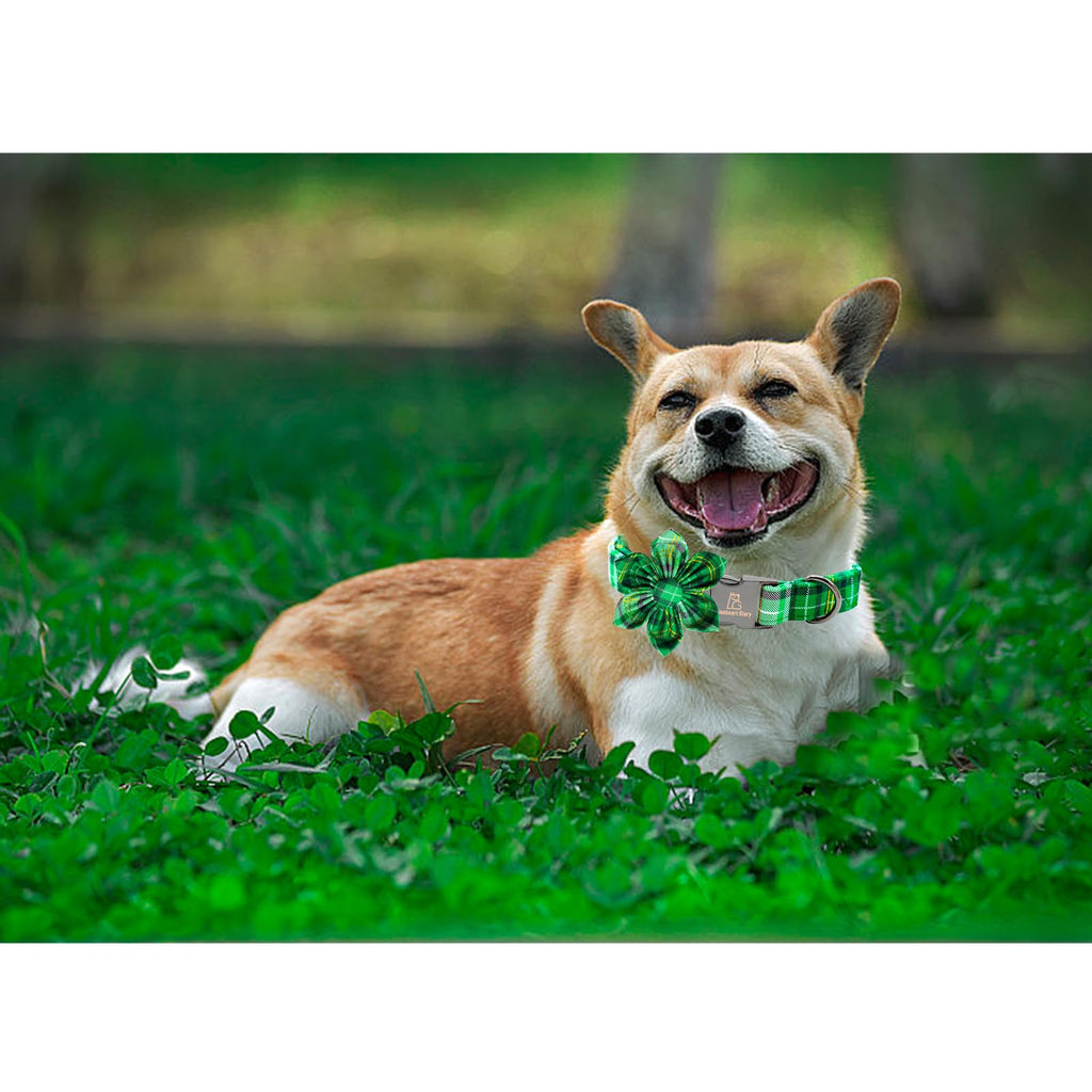 Lionheart glory St. Patrick's Day Dog Collar with Flower Dog Collar for Small Dogs, Green Plaid Cute Collars Spring Dogs Collars Flower Puppy Heavy Duty Cute