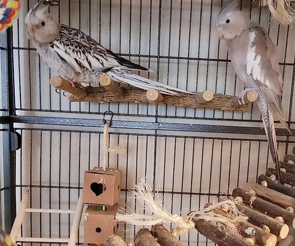 Bolagar Bird Parrot Ladder Perch for Cage, Nature Wooden Bird Bridge Exercise Stands Parrot Climbing Chewing Toys for Small Animal