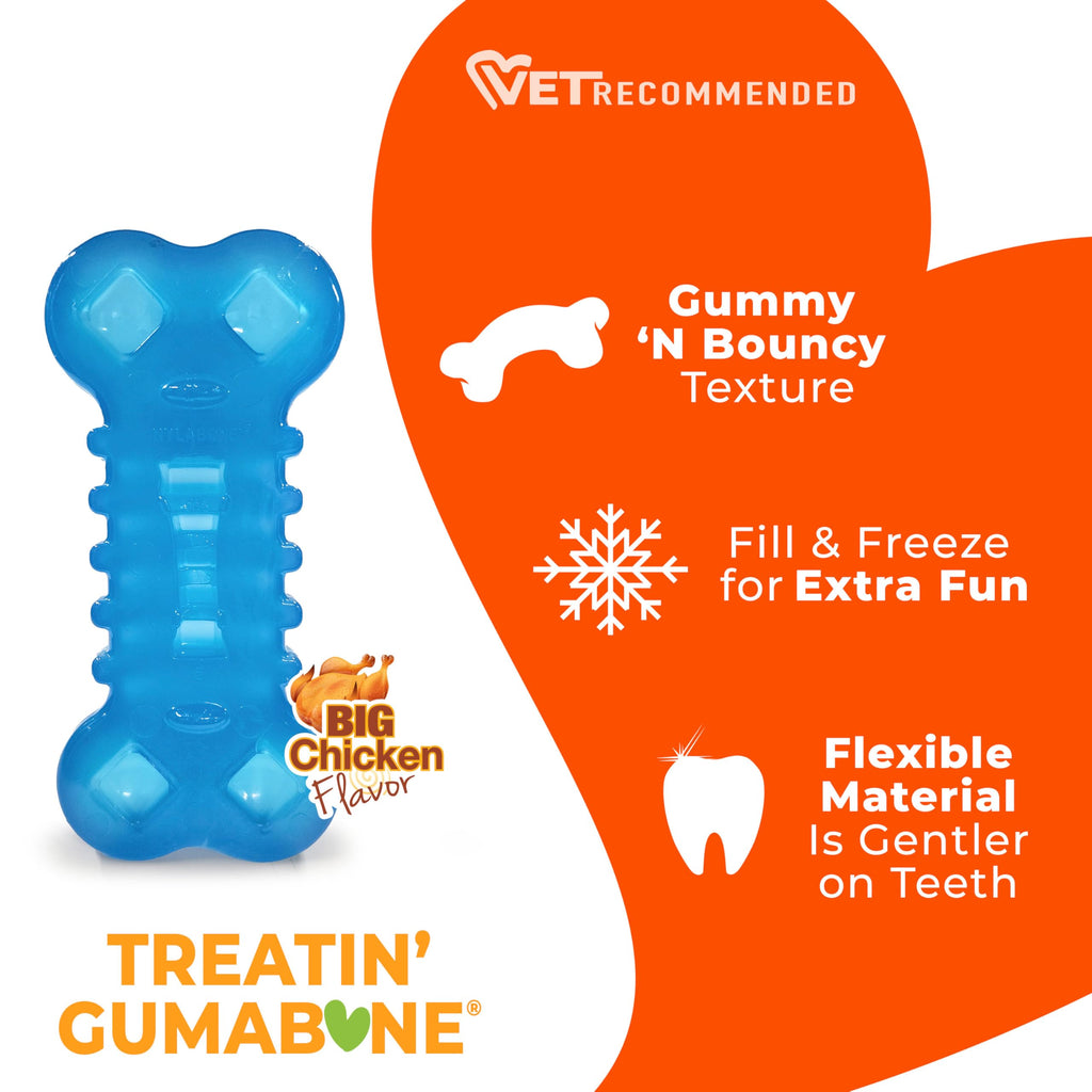 Nylabone Flexi Chew Treatin' Gumabone Dog Chew Toy, Chicken Flavor, Medium