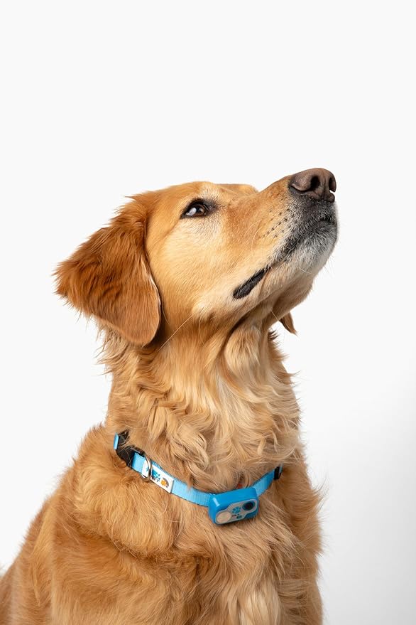 Genuine MS-5® Designer Series Automatic Pet Door Collar Tested & Certified by High Tech Pet for Dogs and Cats - Complies with Power Pet Door Performance Warranty, Waterproof (Blue, Dog)