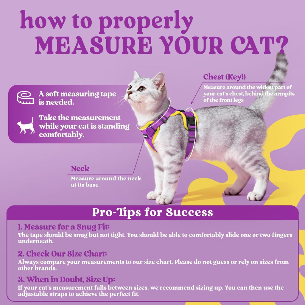 rabbitgoo Cat Harness and Leash Set, Escape Proof Vest, Purple & Yellow