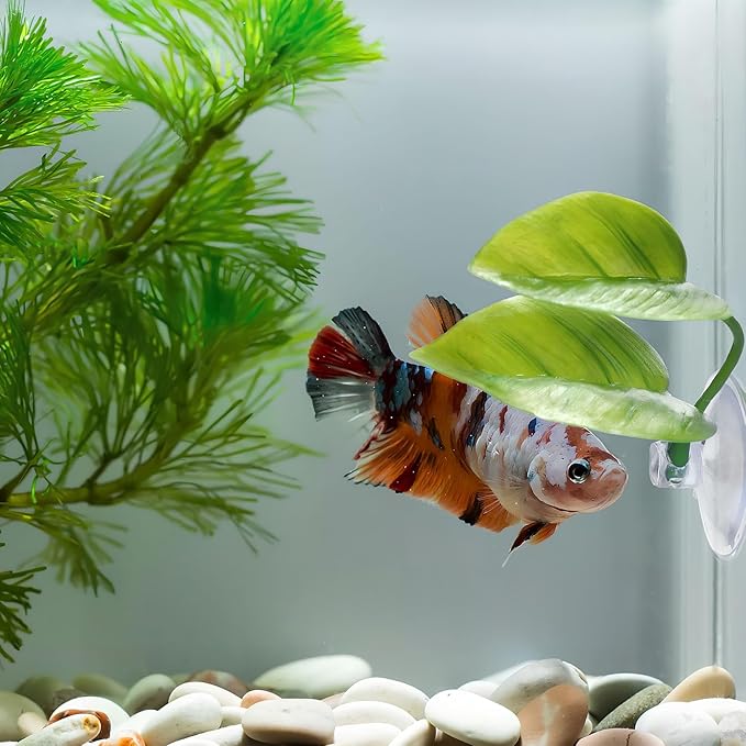 Beta Fish Toys,2 PCS Betta Fish Leaf Hammock,Betta Fish Tank Decorations Aquarium Decor for Sleeping Resting Hiding Playing Breeding