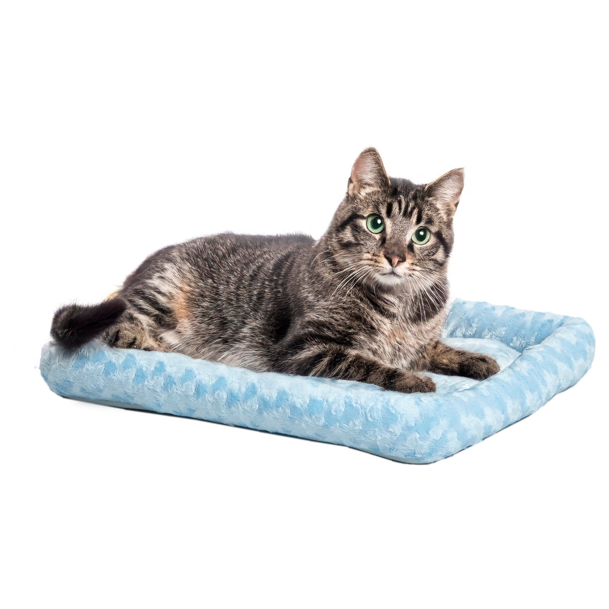 MidWest Homes for Pets QuietTime XXS Dog Bed - White Fleece Bolster, Ultra-Soft and Machine Washable, Fits 18-Inch Crates and Carriers, for Small Dogs and Cats