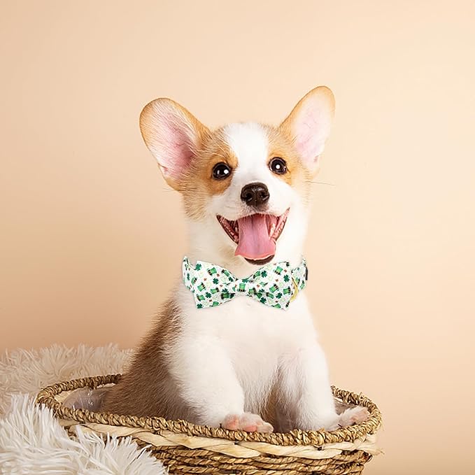·MR. CHUBBYFACE· St.Patrick's Clover Dog Collar with Bowtie, Green Clovers Shamrock Pattern Metal Buckle Dog Collar Adjustable Shamrock Collar for Small Medium Large Dogs