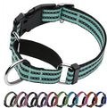 JOYEEIIOO Martingale Dog Collar, Adjustable Nylon Reflective Collar with Quick Release Buckle, No Pull Dog Training Collars for Small Medium Large Dogs (Apple Green, Medium)