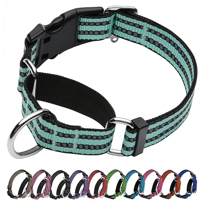 JOYEEIIOO Martingale Dog Collar, Adjustable Nylon Reflective Collar with Quick Release Buckle, No Pull Dog Training Collars for Small Medium Large Dogs (Apple Green, Medium)