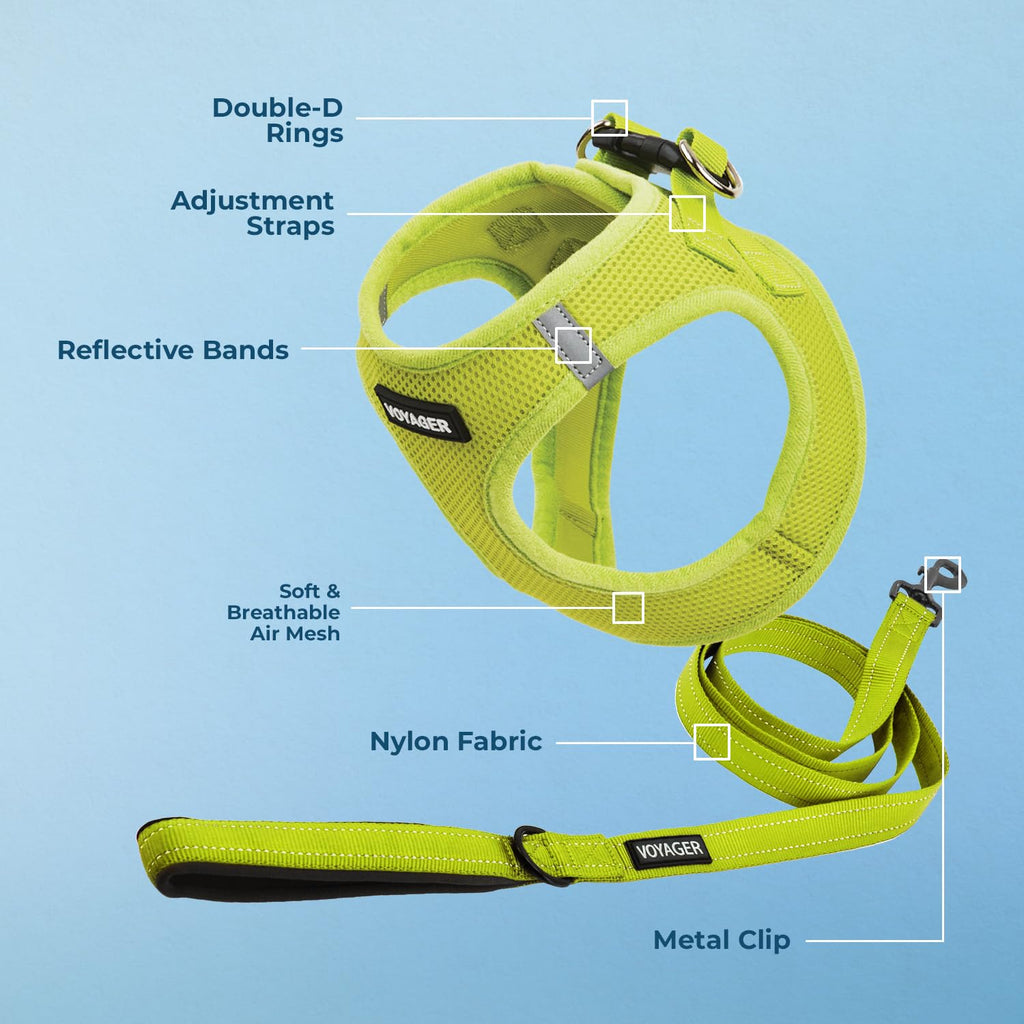 Best Pet Supplies Voyager Step-in Air All Weather Mesh Harness and Reflective Dog 5ft Leash Combo with Neoprene Handle, for Small, Medium and Large Breed Puppies - Lime Green, Small