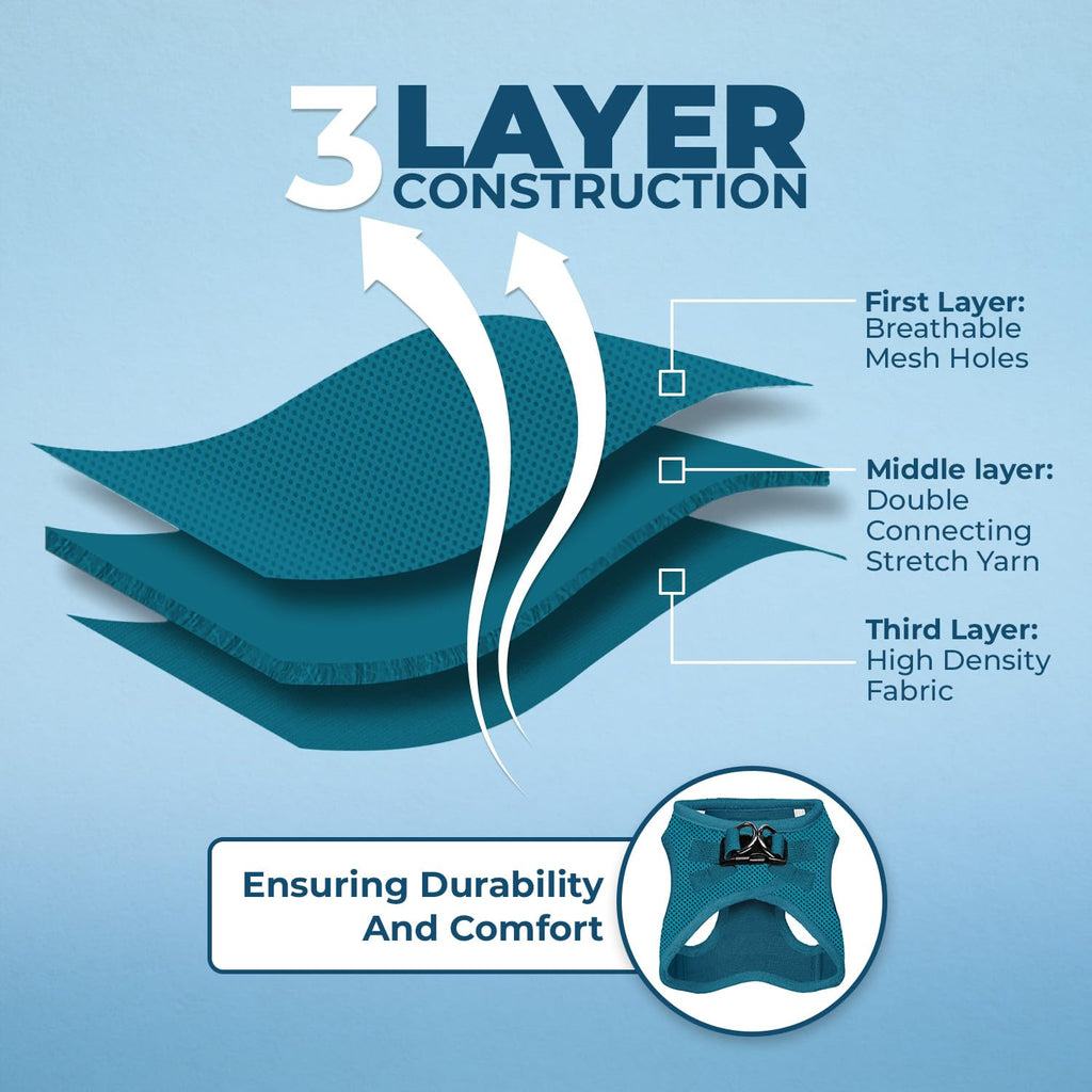 Best Pet Supplies Voyager Step-in Air All Weather Mesh Harness and Reflective Dog 5ft Leash Combo with Neoprene Handle, for Small, Medium and Large Breed Puppies - Turquoise, Large