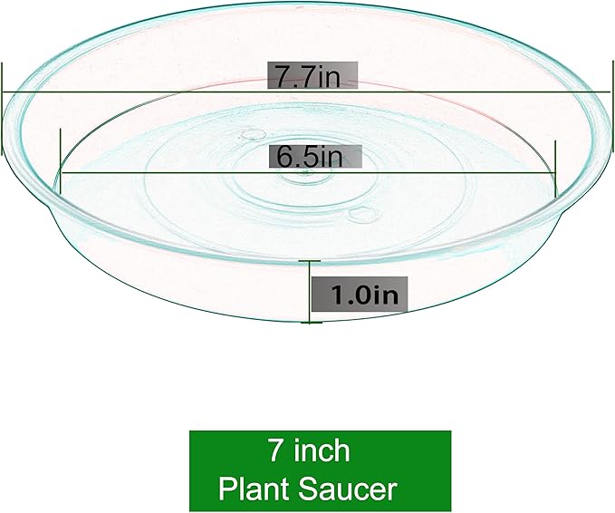 Bleuhome 6 Pack of 7 inch Plant Saucer, Heavy Duty Plastic Plant Water Tray 7 inch Round, Flower Plant Saucers for Indoors No Holes, Plant Dishes Saucer for Planter 7"/8" (7", Chocolate)