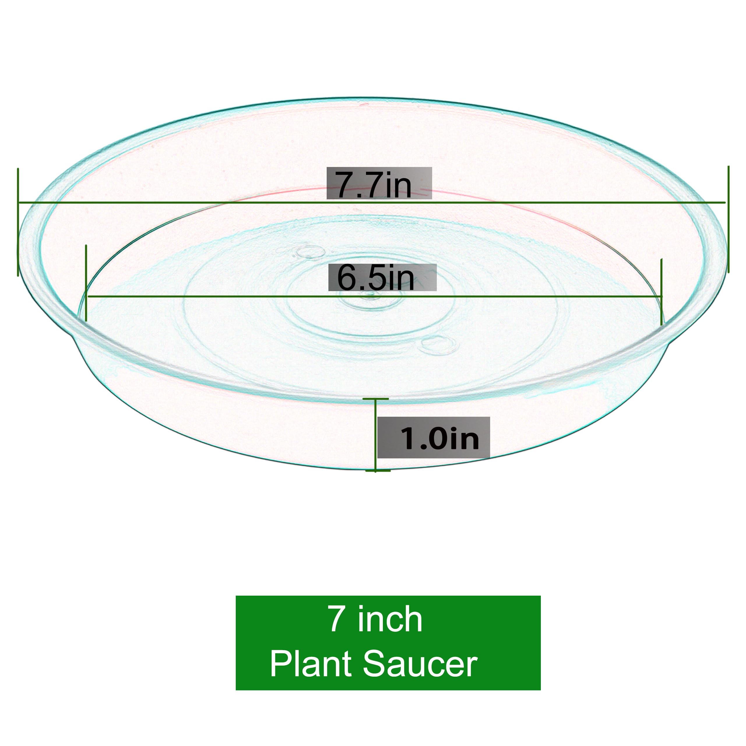 Bleuhome 6 Pack of 7 inch Plant Saucer, Heavy Duty Plastic Plant Water Tray 7 inch Round, Flower Plant Saucers for Indoors No Holes, Plant Dishes Saucer for Planter 7"/8" (7", Blue)