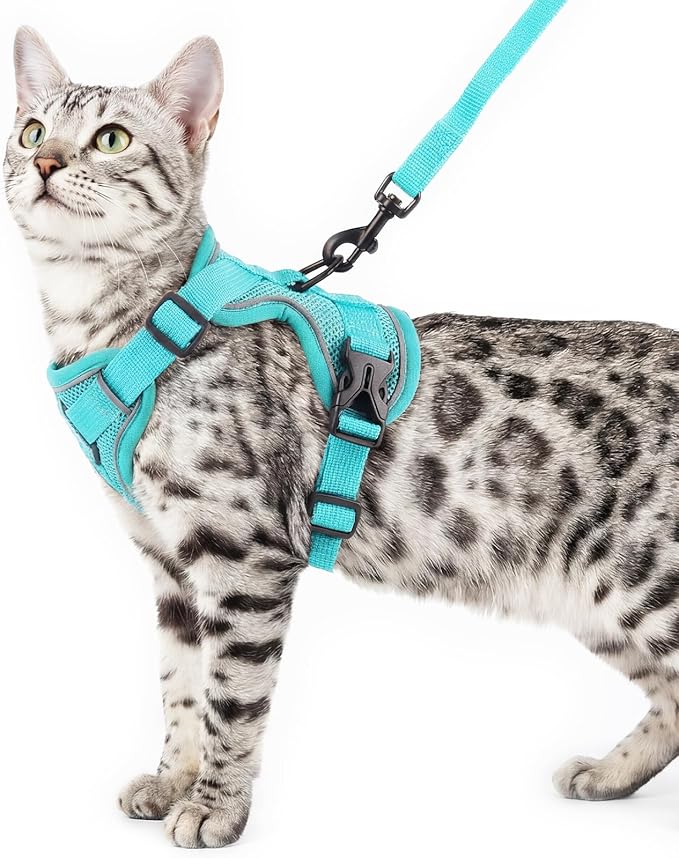 Cat Harness and Leash Set Escape Proof Tactical Extra Large Kitten Harness Emotional Support Cat Vest, Turquoise, XL