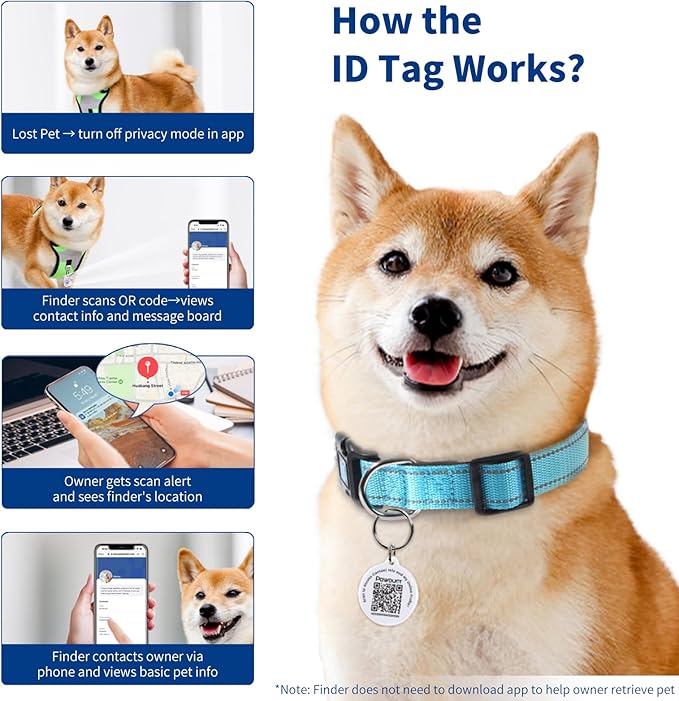 Pawduct Dog Name Tags Personalized Collar, Smart ID Tag, Large, Blue