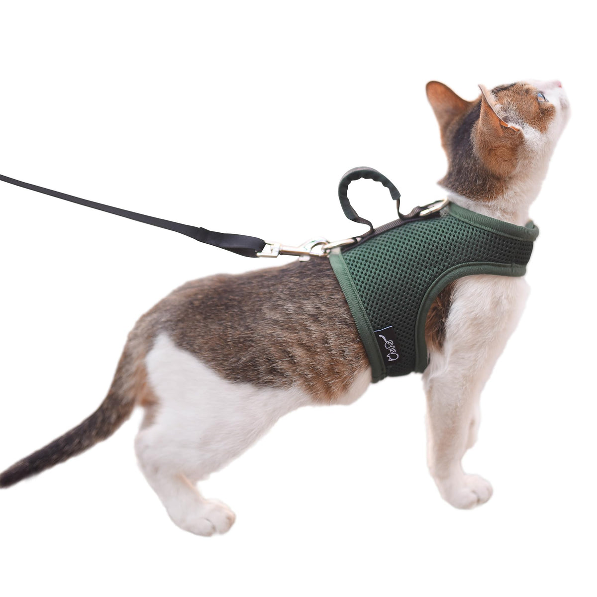Cat Harness and Leash Set for Walking Escape Proof, Green, XX-Large