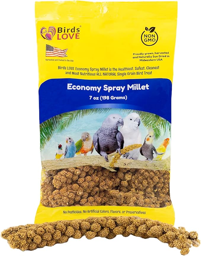 Birds LOVE Economy Spray Millet for Birds, GMO-Free Natural Millet Spray Treat, Stem-Reduced Edible Tops, Grown in USA, for Parakeets, Cockatiels, Lovebirds, Finches, Canaries & Small Parrots