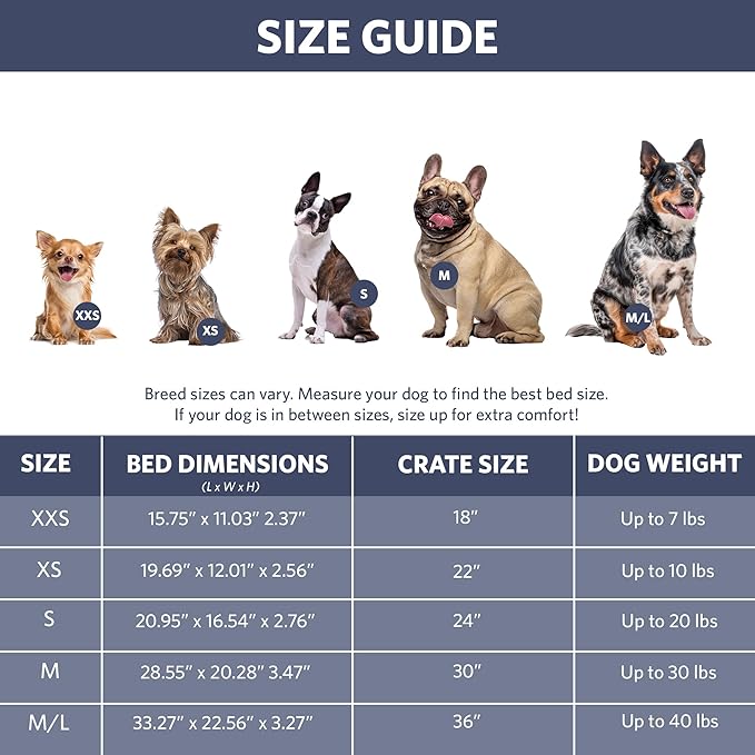 MidWest Homes for Pets QuietTime Fashion XS Dog Bed - Blue Faux Fur Bolster, Ultra-Soft and Machine Washable, Fits 22-Inch Crates and Carriers, for Small Dogs and Cats