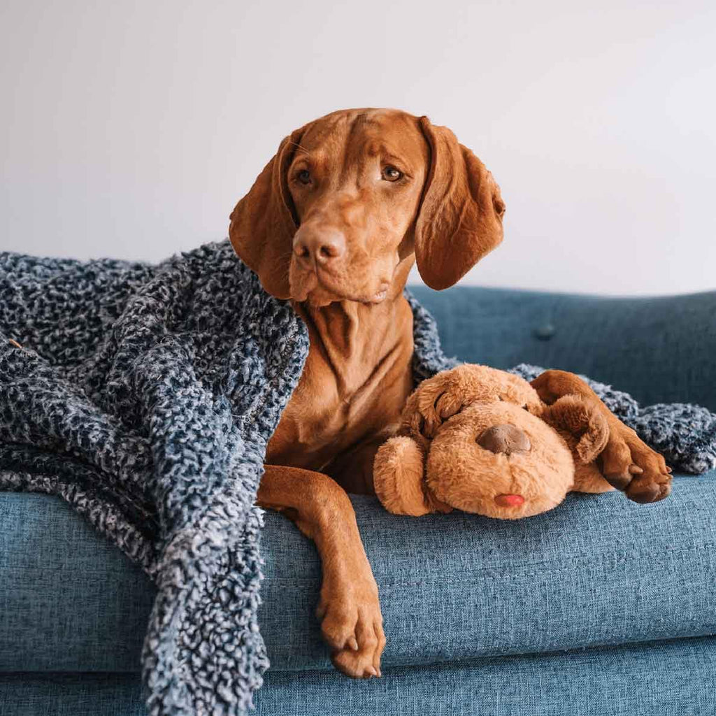 Snuggle Puppy Original Heartbeat Puppy Toy with Real-Feel Pulse & Heat Pack, Calming Sleep Aid for Puppy Anxiety, Crate Training, First Nights & New Puppy Transition - Biscuit Plus 6 Heat Packs