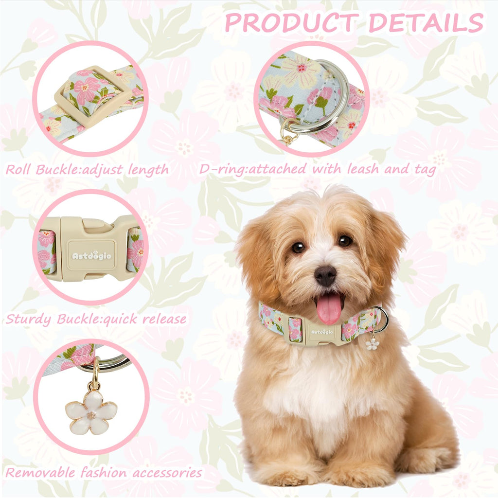 Astdogio Dog Collar for Small Medium Large Dogs, Spring Blue Dog Collars with Pink & White Flowers, Adjustable Cotton Dog Collars, Cute Girl or Boy Dog Collar Ideal for Gifts,Pet Accessory,L
