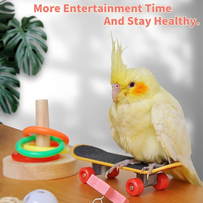Bird Toys,Parrot Training Toys for Lovebird,Five-Types Parakeet Toys Sets for Conure, Cockatiel,12 PCS Parrot Intelligence Toy,Basketball Hoop,Skateboard,Stacking Toys,Wooden Block Bird Puzzles Toy