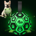 QDAN Glow in The Dark Dog Toys Soccer Ball with Straps, Outdoor Interactive Dog Toys Puppy Birthday Gifts, Dog Tug Water Toy, Light Up Dog Balls for Small & Medium Dogs（6 Inch Size 2）