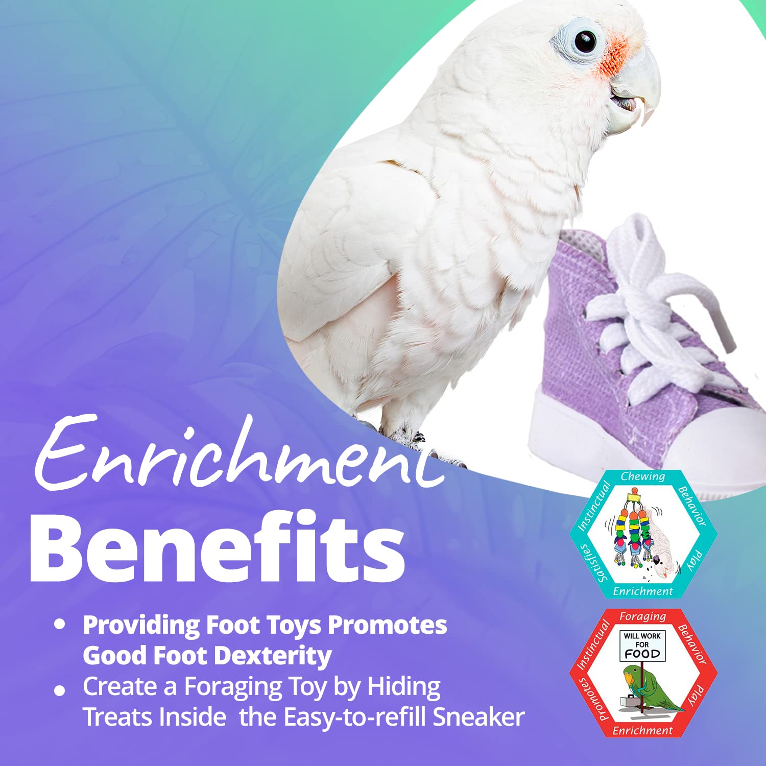 Super Bird Creations SB50010 Sneaker Bird Toy - Durable Safe Chew Toy - Ideal for Cockatiels Parakeets Parrots Small to Large Birds - Vibrant, Assorted Colors 3" x1-1/2 x 1-3/8" (12 Pack)