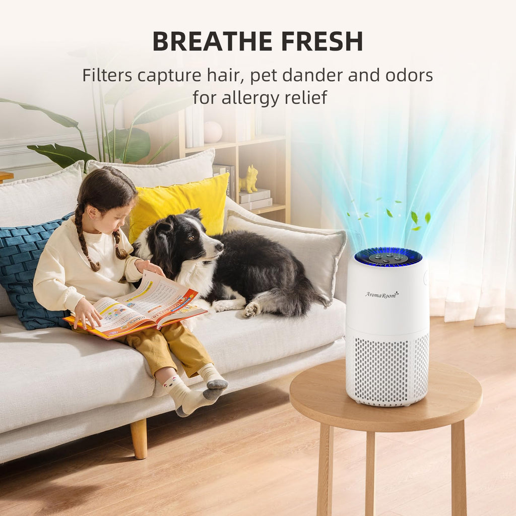 AromaRoom Air Purifiers, Quiet Air Cleaner For Pets, Baby Room,Home