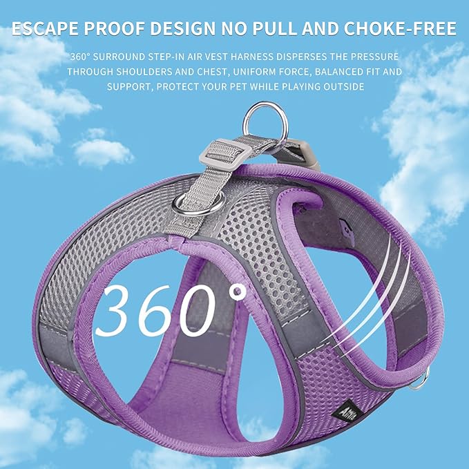 AIITLE Small Harness for Puppy with A Leash - Dog Vest Harness with Super Breathable Mesh, Reflective No-Pull Pet Harness for Outdoor Walking, Running for Small Dogs, Cats Purple XXS