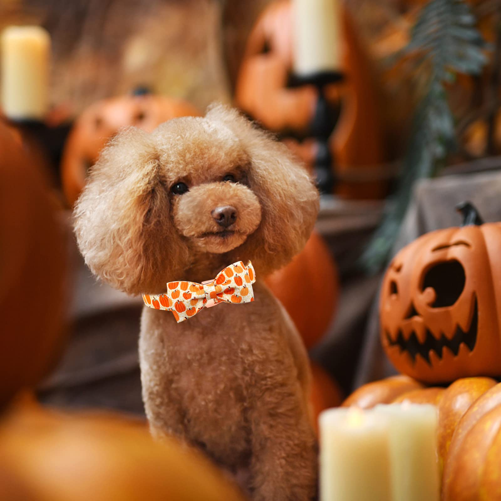 Bobo Rainbow Dog Collar - Halloween Pumpkin Bowtie Dog Collar Gift Soft Bow Collar Pet Adjustable Metal Buckle Dog Collar for Large Dogs