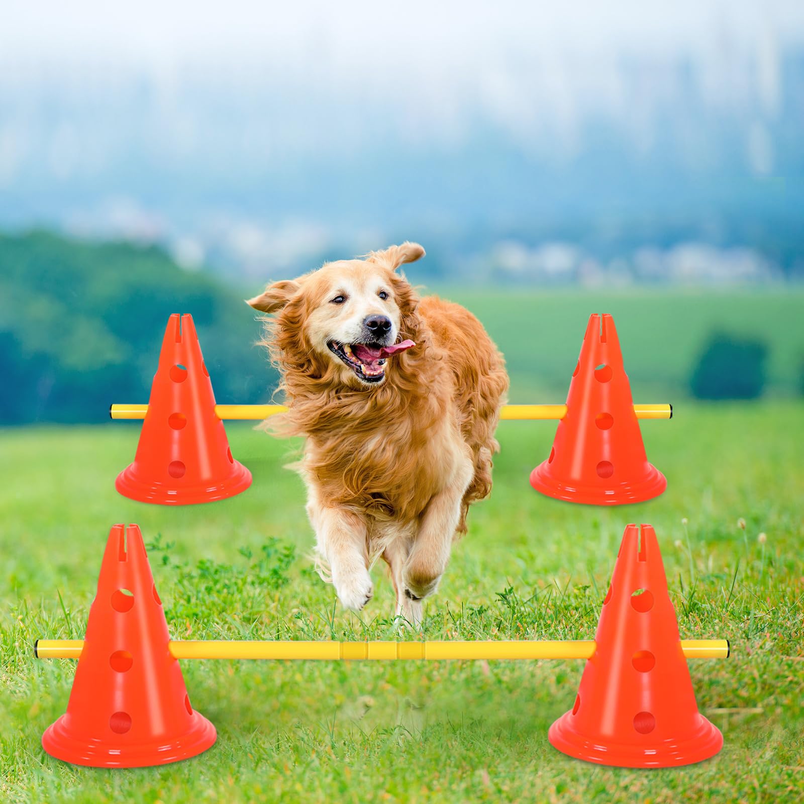 Glimin 10 Sets Dog Agility Hurdle Cone Set 20 Pcs Exercise Cones with 10 Pcs Rods Adjustable Obstacle Portable Agility Training Equipment Canine Pole(Orange and Yellow)